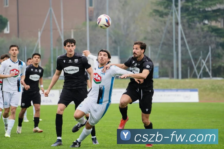 彩神争霸全站App